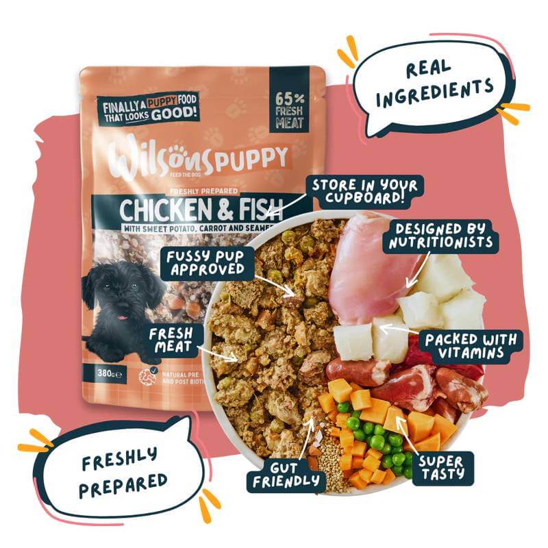 A bowl of fresh dog food with meat, veggies, and Wilsons Premium Fresh Puppy Food Chicken & Fish.