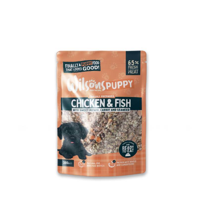 Wilsons Premium Fresh Puppy Food Chicken & Fish 8x380g with a black puppy and food shown.