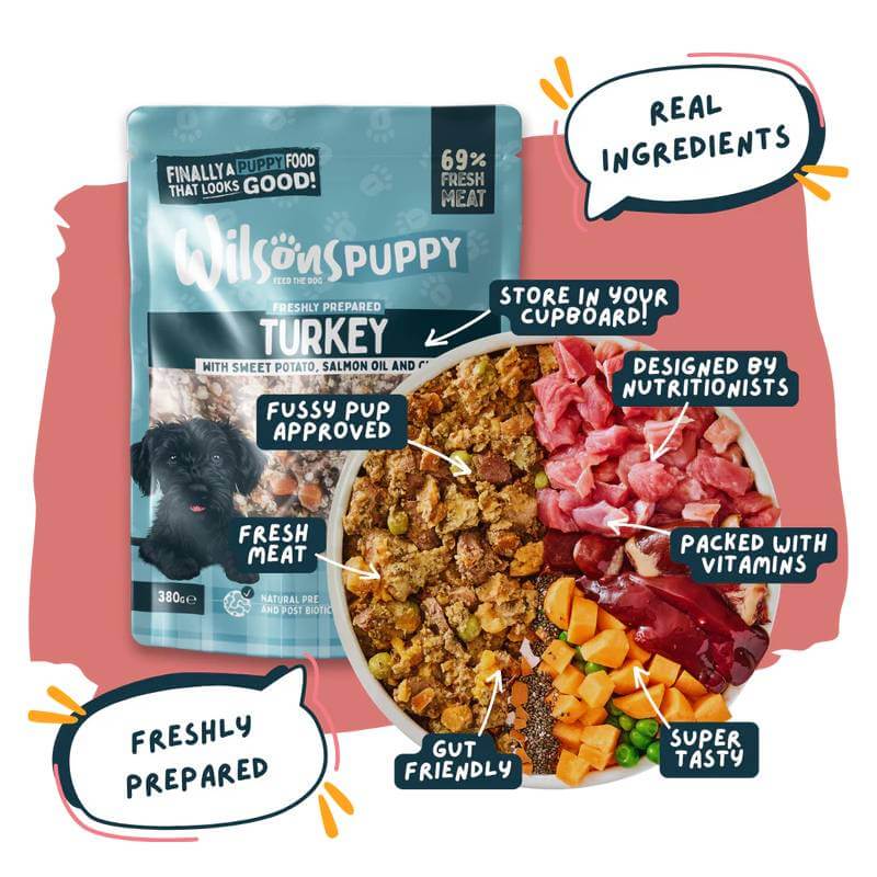 Wilsons Premium Fresh Puppy Food Turkey 380g with health benefits for puppies.