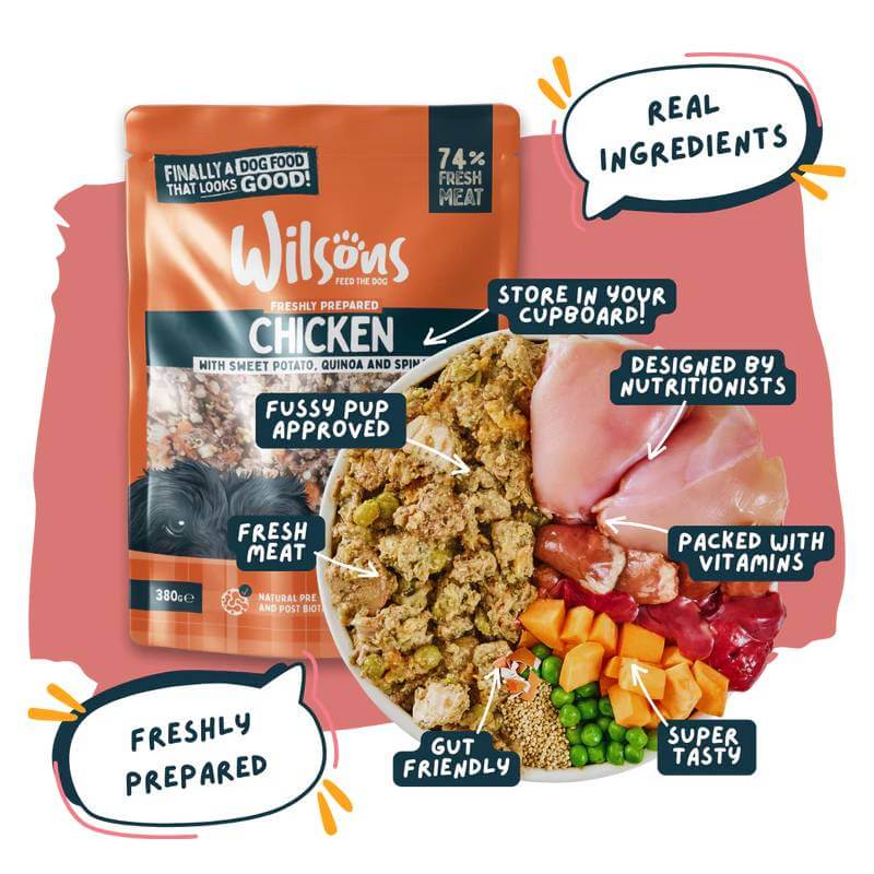 Wilsons Premium Fresh Dog Food Chicken 380g: chicken, veggies & quinoa for dogs.