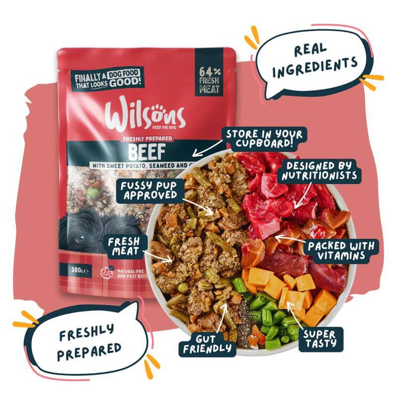 Wilsons Premium Fresh Dog Food Beef 380g provides complete nutrition with fresh ingredients.