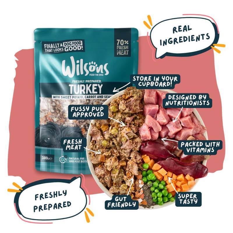 Wilsons Premium Fresh Dog Food Turkey 380g with labels showing its fresh, nutritious ingredients.