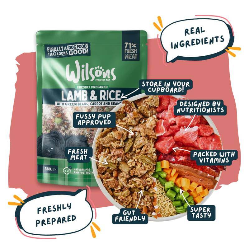 Wilsons Premium Fresh Dog Food Lamb & Rice 380g in a bowl with labeled ingredients and packet.