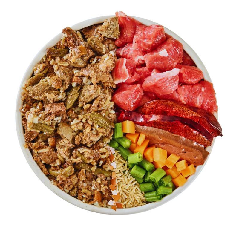 Wilsons Premium Fresh Dog Food Lamb & Rice with kibble, green beans, carrots, and red pepper.