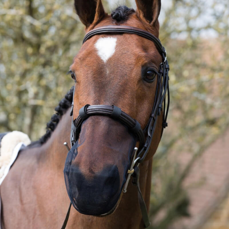 Brown horse in Equilibrium Net Relief Cavesson Muzzle Net (Black), standing outdoors.
