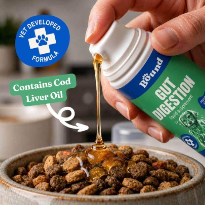 Pouring Bound Pets Gut Digestion Liquid onto kibble; text: Digestive support for dogs.