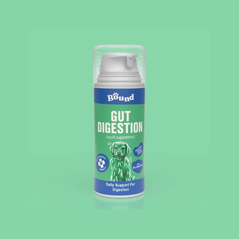 Bound Pets Gut Digestion Liquid Supplement for Dogs 100ml on light green background.