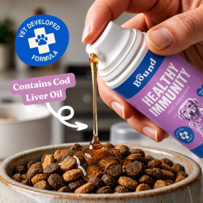 A hand pours Bound Pets Healthy Immunity Liquid Supplement for Dogs over kibble.