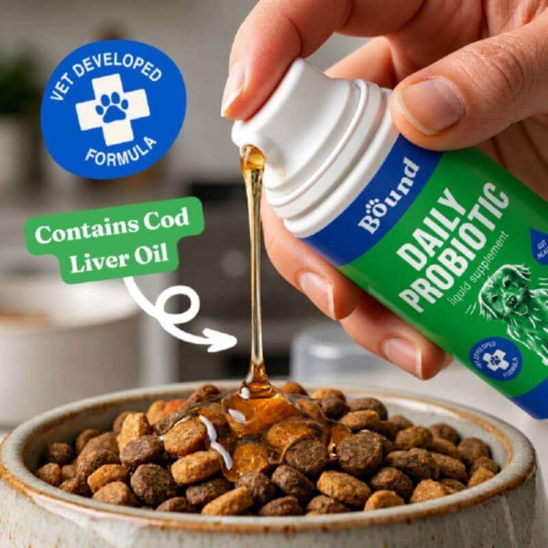 Pouring Bound Pets Daily Probiotic Liquid Supplement for Dogs onto kibble, label visible.