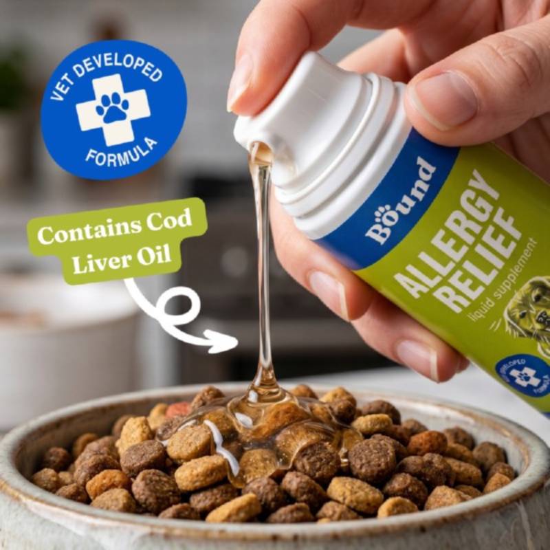 A hand pours Bound Pets Allergy Relief Liquid for Dogs (100ml, cod liver oil) onto food.