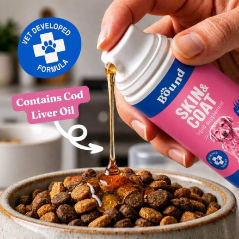 Someone pours Bound Pets Skin and Coat Supplement for Dogs on kibble; label shows Skin & Coat.