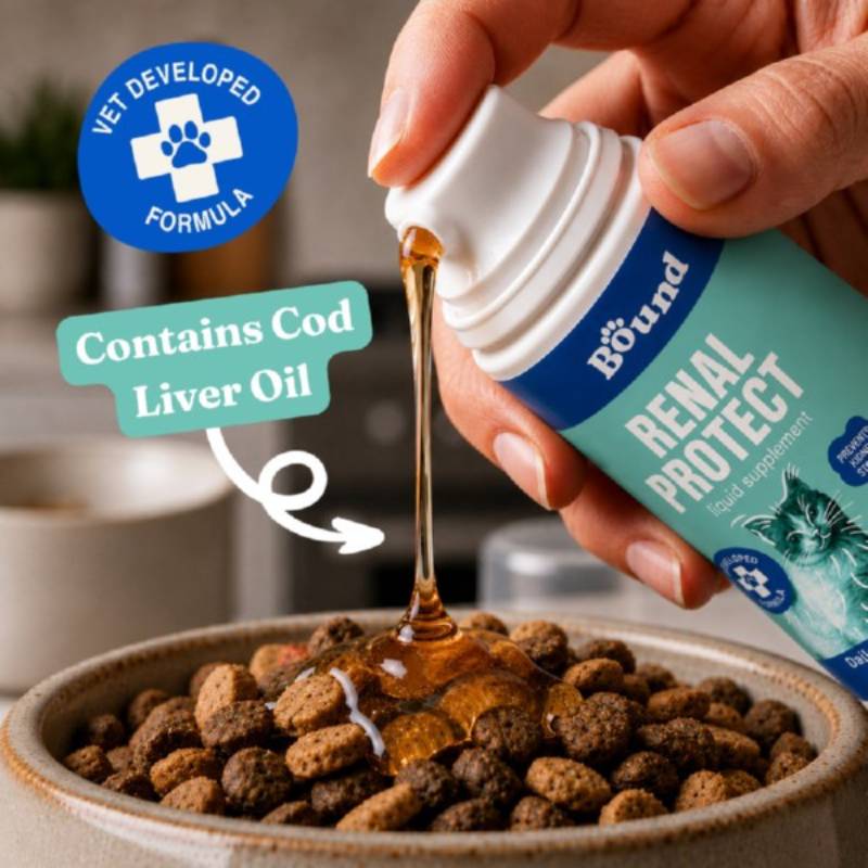 Bound Pets Renal Protect liquid for cat kidney health, with cod liver oil, poured over pet food.