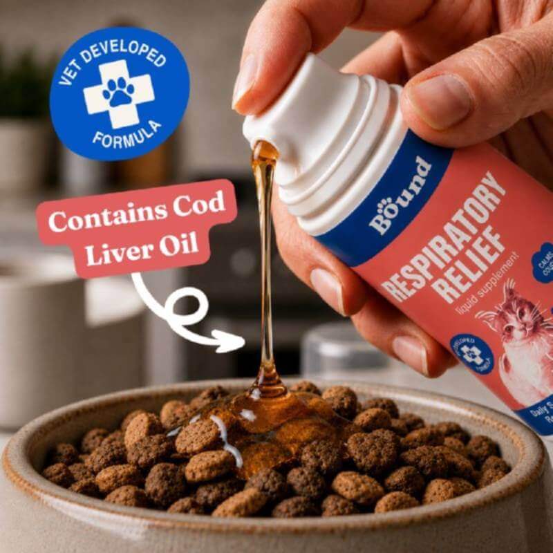 Person pours Bound Pets Respiratory Relief Liquid Supplement for Cats 100ml onto cat food.