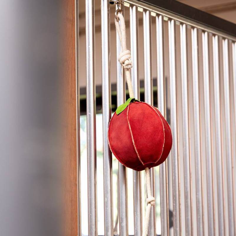 A red LeMieux Horse Toy Apple hangs on a rope attached to metal bars.