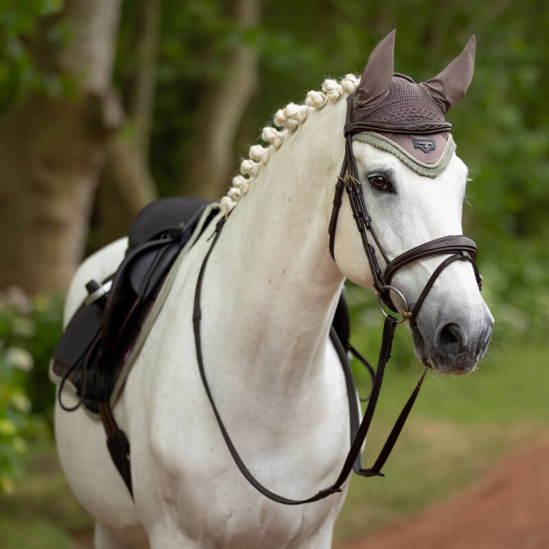A white horse with a braided mane wears a LeMieux Loire Fly Hood Walnut on a dirt path.