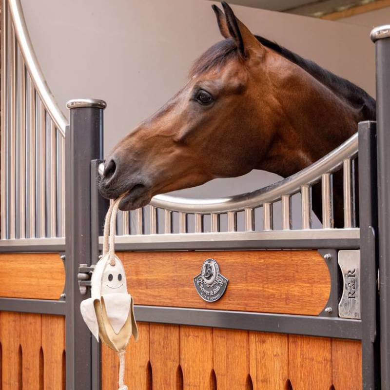 A horse in a stable holds a LeMieux Lemieux Horse Toy Banana in its mouth.