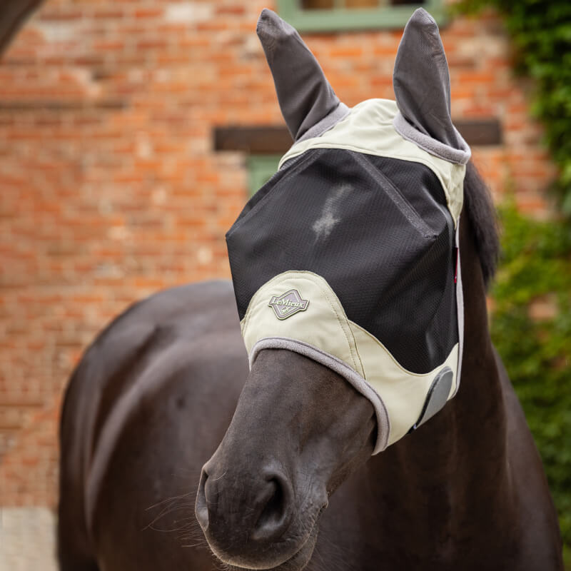 A dark horse in a LeMieux Visor-Tek Half Fly Mask Fern stands by a brick wall.