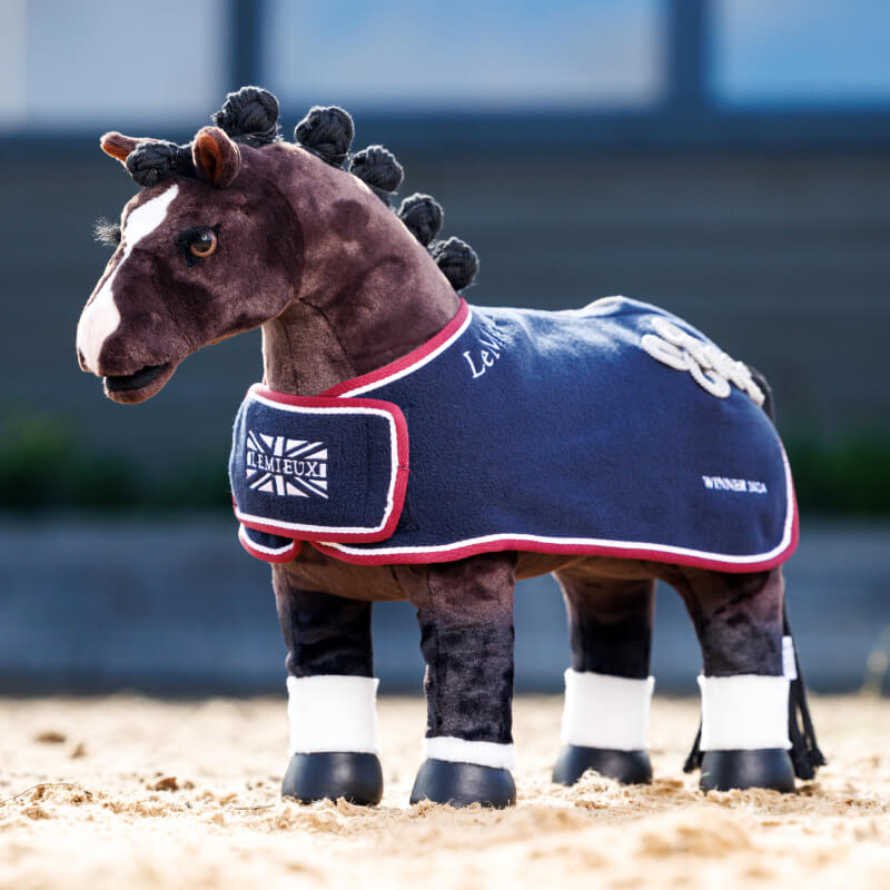 LeMieux Toy Pony Winners Rug Navy stands proudly on sandy ground.