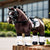 Lemieux Toy Pony Valegro