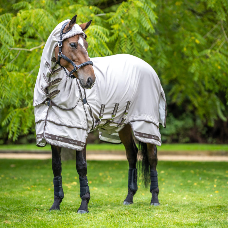 A horse in a LeMieux Kudos Sweet Itch Rug Stone stands on grass.