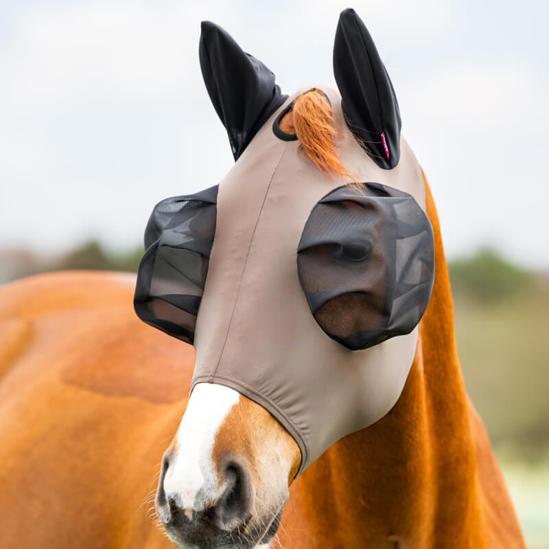 A brown horse outdoors wears a LeMieux Bug Relief Half Mask Walnut over its ears and eyes.