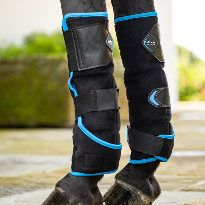 Cooling horse leg with LeMieux Freeze Flow Ice Boot Front Black Onesize outdoors.