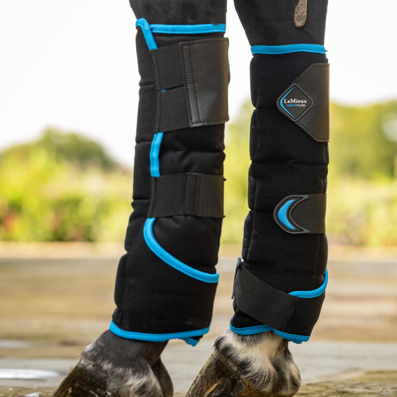 Close-up of a horse’s legs wearing LeMieux Freeze Flow Ice Boot Hind Black Onesize.