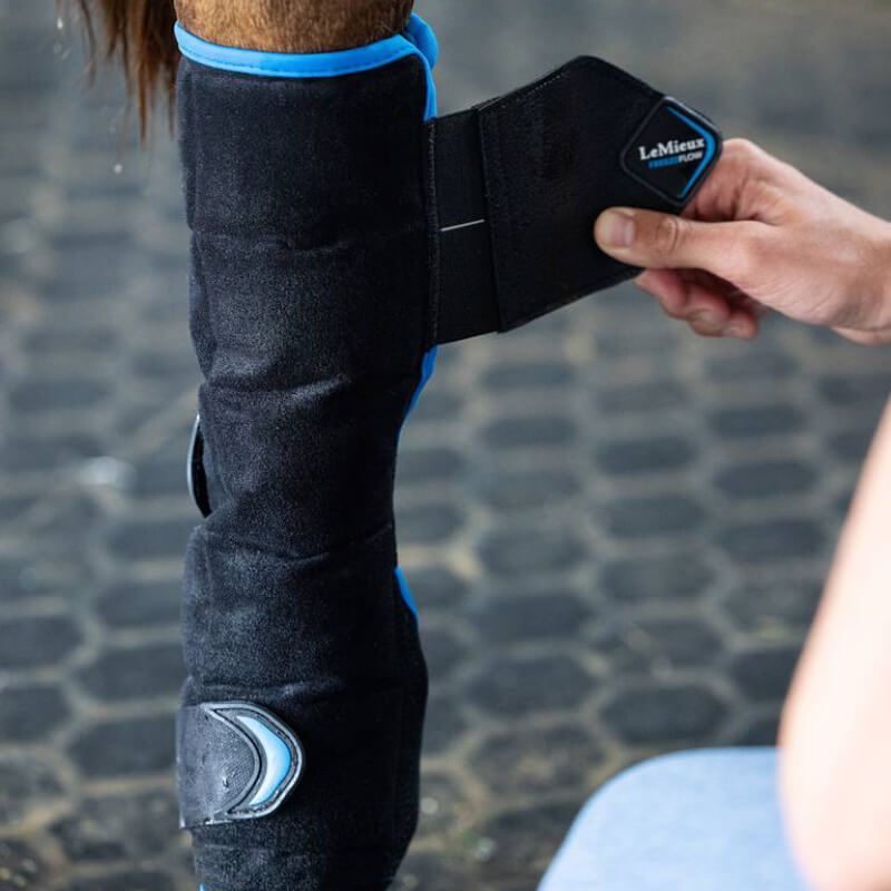 Fasten the LeMieux Freeze Flow Ice Boot Hind Black Onesize to your horse’s leg on tile.