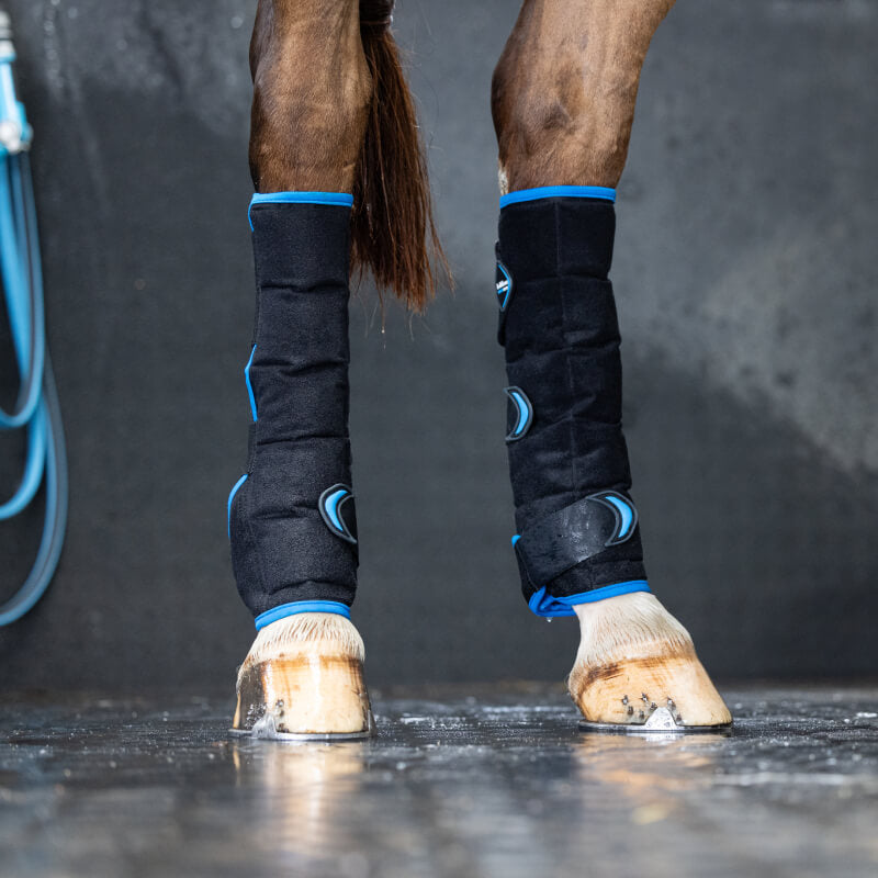 Horse legs in LeMieux Freeze Flow Ice Boot Hind Black Onesize stand on a wet floor.