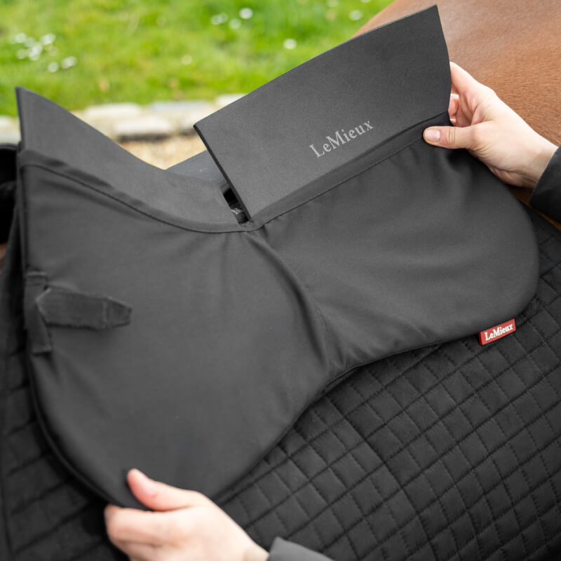 LeMieux ProSorb Plain 2 Pocket Half Pad Black on a brown horse outdoors on grass.