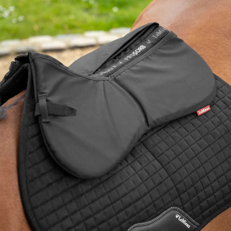 LeMieux ProSorb Plain 2 Pocket Half Pad Black on a brown horse outdoors on grass.