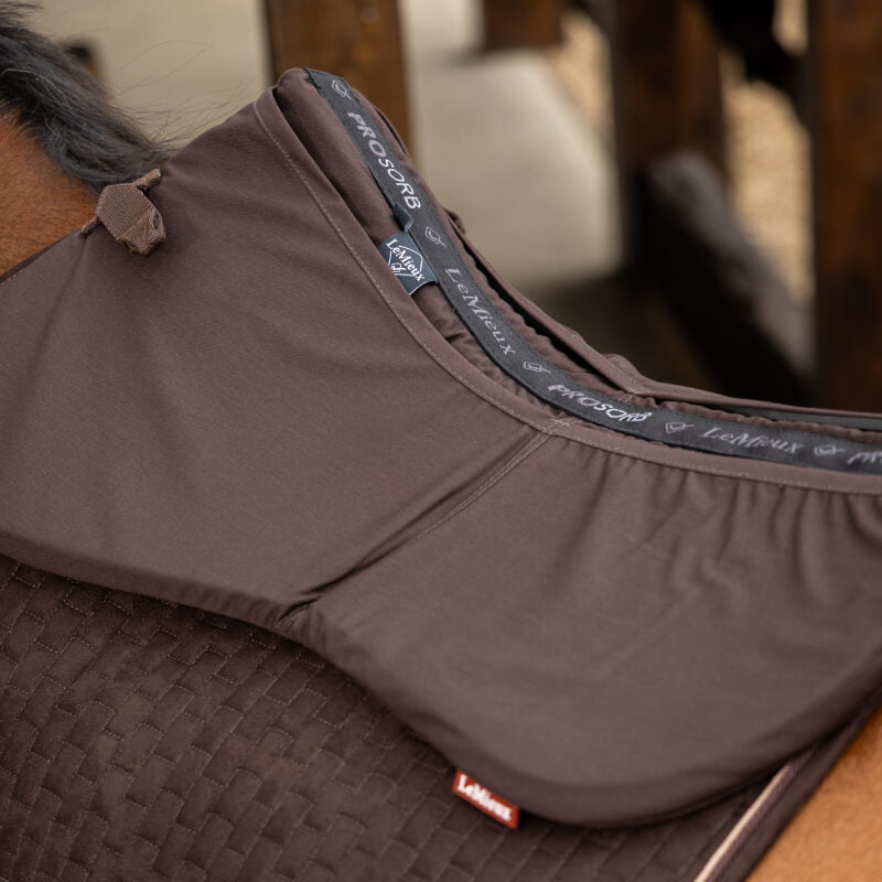 Close-up of a brown horse in a LeMieux ProSorb Plain 2 Pocket Half Pad Brown with branding visible.