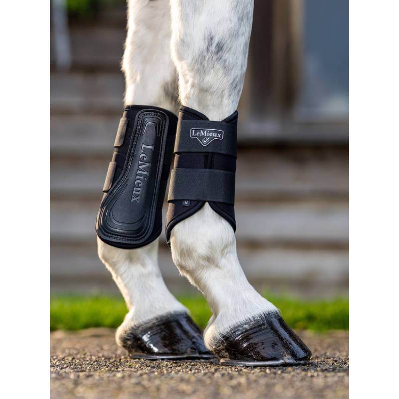 A horse in LeMieux Grafter Brushing Boots Black stands on gravel.