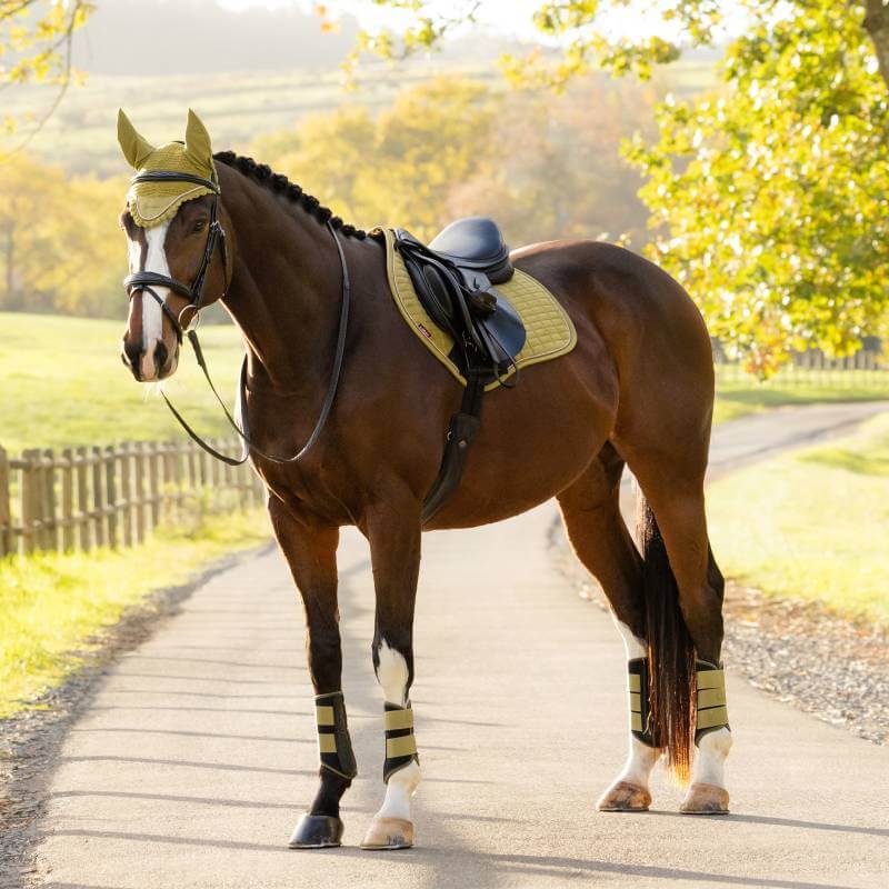 Brown horse with braided mane and LeMieux Suede Close Contact Square Gooseberry on sunlit path.