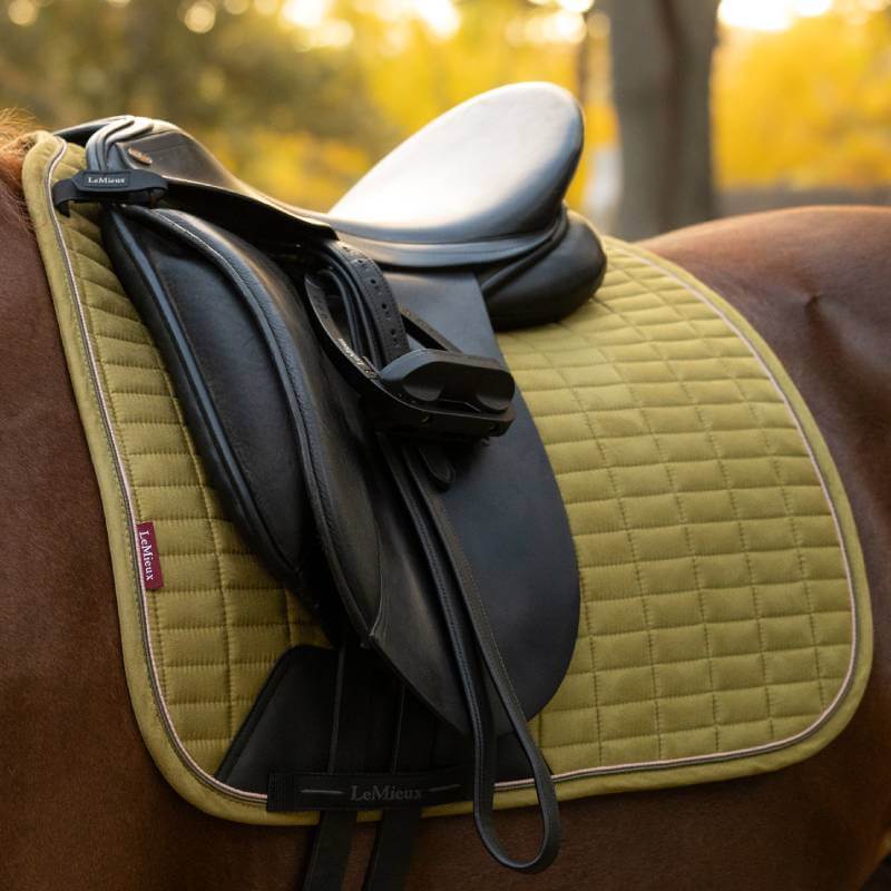 Black saddle on horse with LeMieux Suede Dressage Square Gooseberry; blurred trees in background.