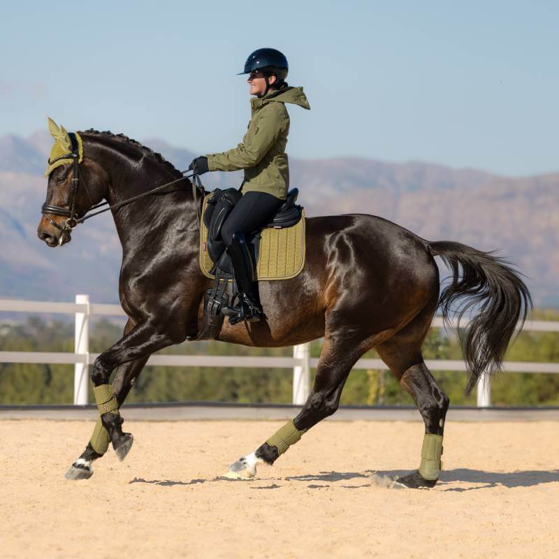Helmeted rider on dark horse with LeMieux Suede Dressage Square Gooseberry, outdoors.