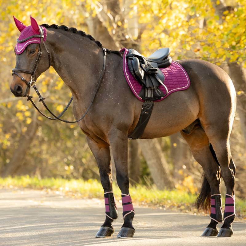 A brown horse in LeMieux Suede GP Square Blackberry gear stands on a road with fall trees.