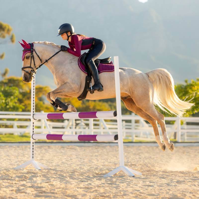 Rider in LeMieux Suede GP Square Blackberry jumps horse over purple and white obstacle outdoors.