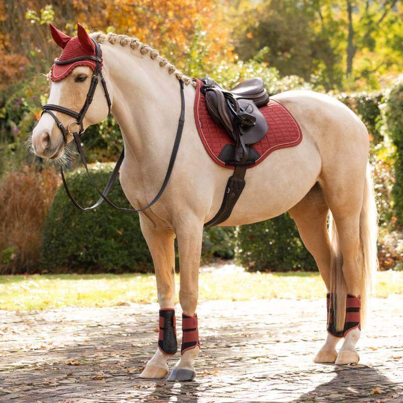 Palomino in red tack with LeMieux Suede GP Square Russet, on cobblestones in autumn.