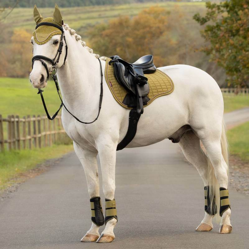 White horse on the road wears a LeMieux Suede GP Square in Gooseberry, trees in background.