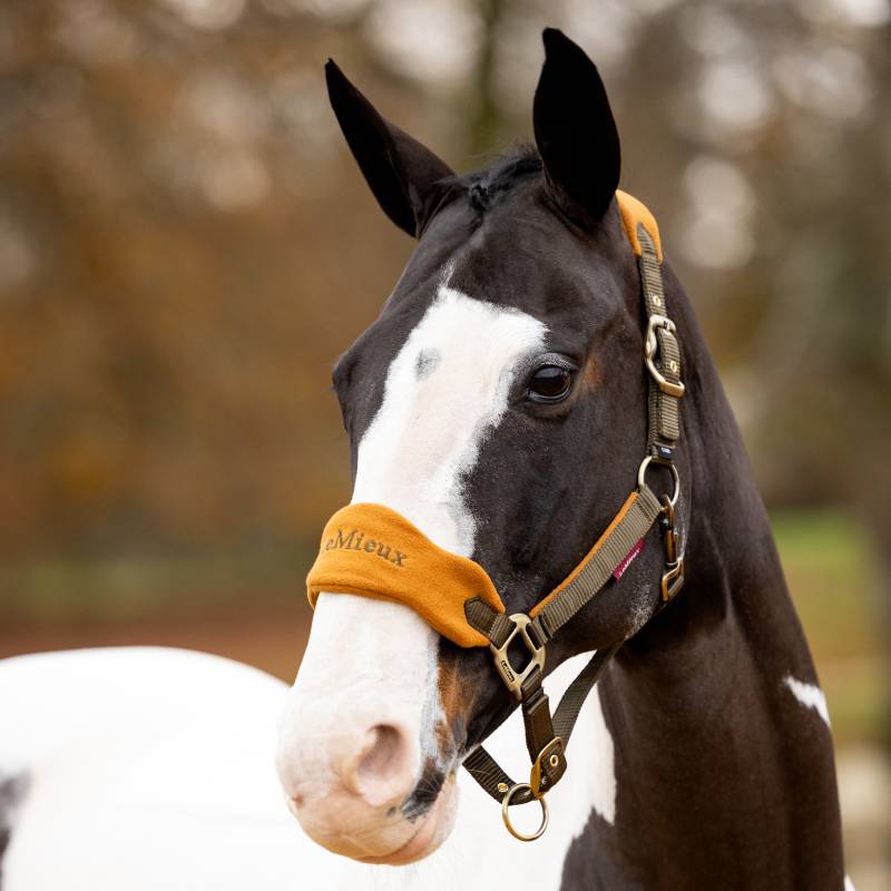 LeMieux Vogue Headcollar & Leadrope Alpine