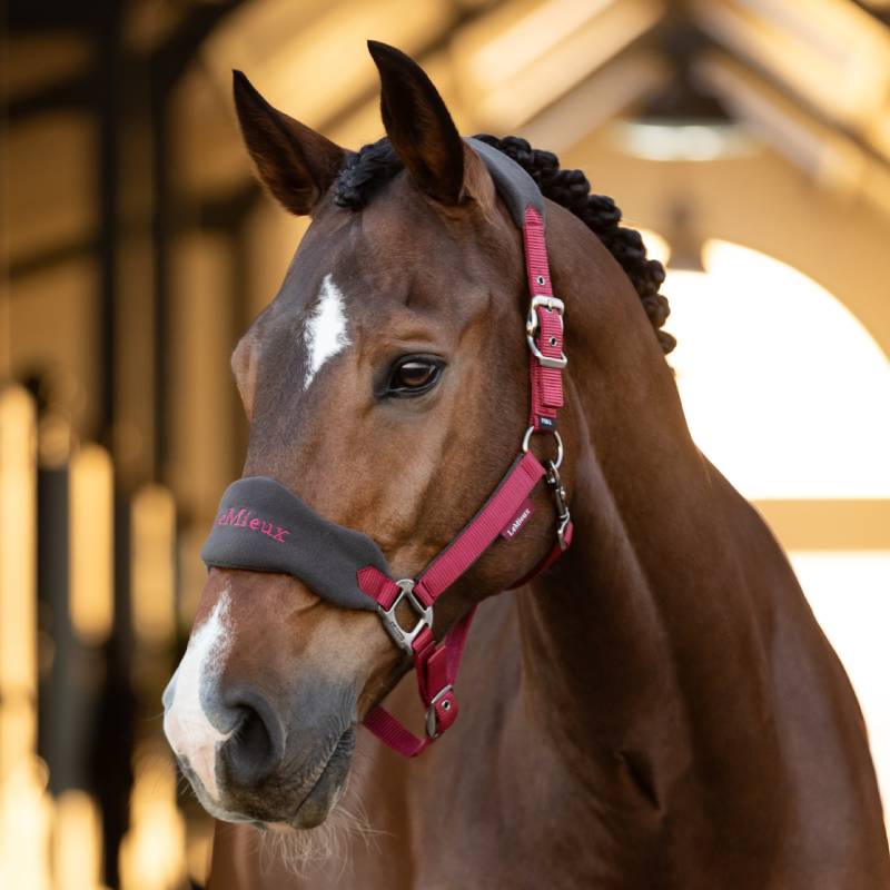 LeMieux Vogue Headcollar & Leadrope Ember