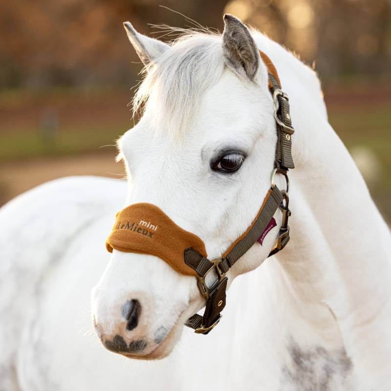 LeMieux Mini Vogue Headcollar Alpine Alpine Mini