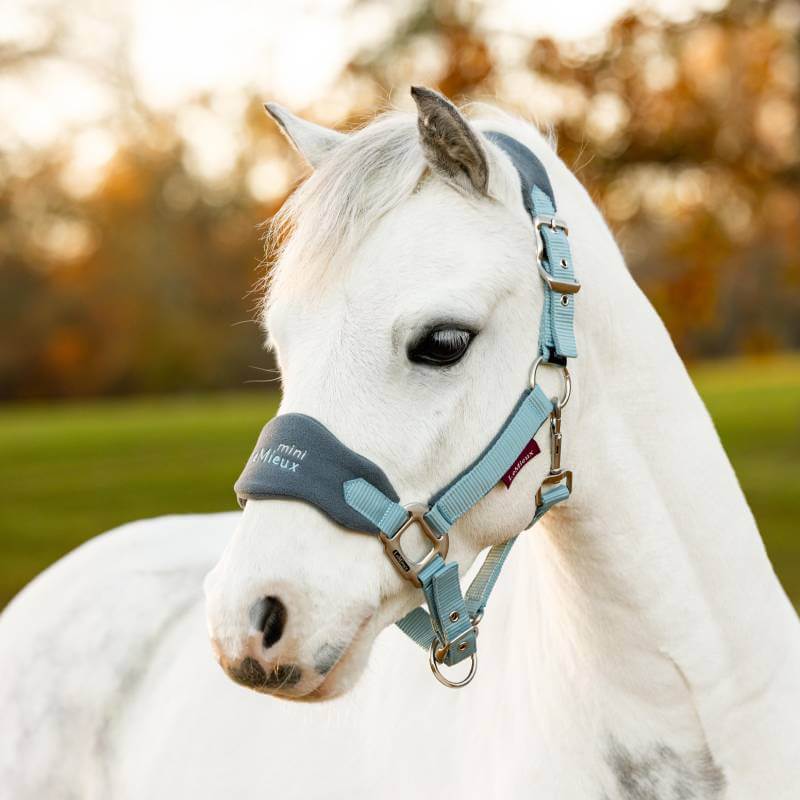 LeMieux Mini Vogue Headcollar Glacier Glacier Mini