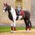 Lemieux Loire Classic Dressage Square Ember