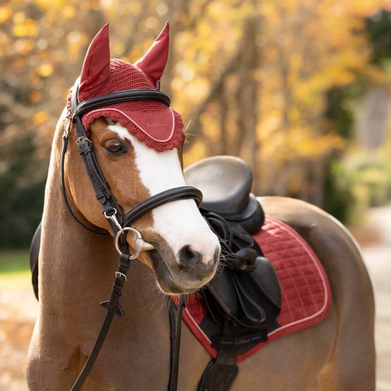 Brown horse with red LeMieux Classic Fly Hood Russet stands on a leafy autumn path.