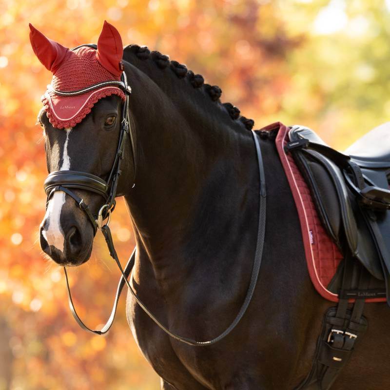 Black horse, braided mane, LeMieux Classic Fly Hood Russet, red saddle, autumn setting.