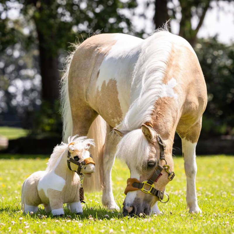 A pony grazes on grass beside a LeMieux Toy Pony Lemon under sunlight.