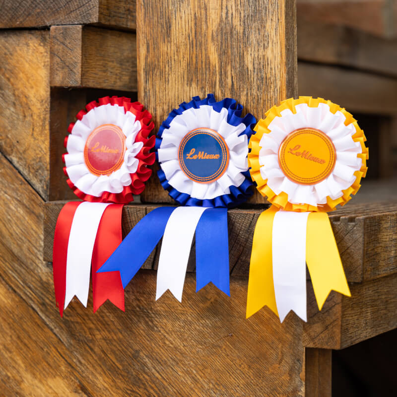 LeMieux Hobby Horse Rosette Pack Multi by LeMieux on a wooden staircase railing.