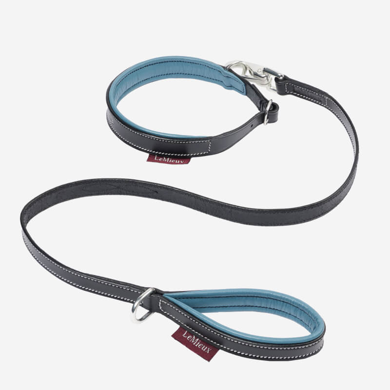 Lemieux Toy Puppy Collar &amp; Lead Ice Blue/Black